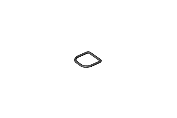 WaterRower Recoil Belt D-Ring